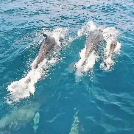 Townhouse Varadero By Algarve Vacation Tatil Evi *